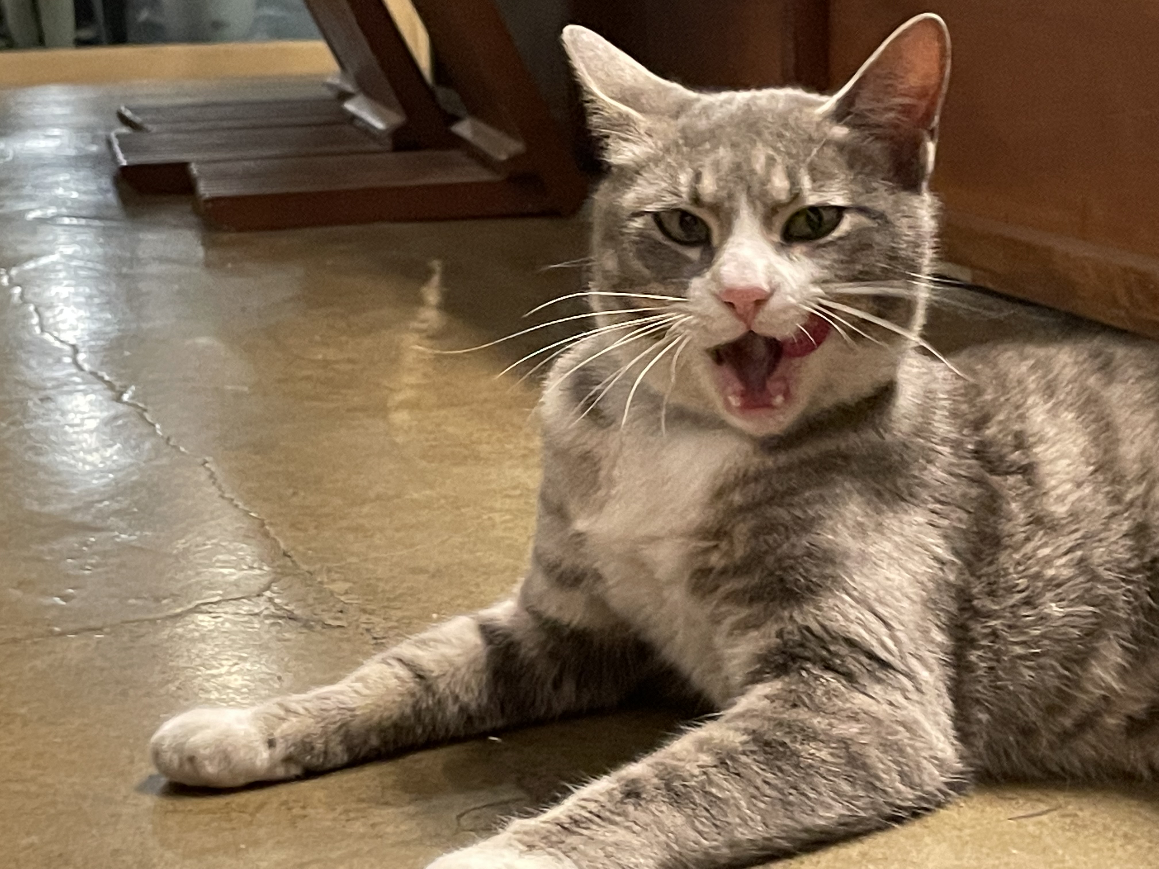 귀멸의칼날귀멸의칼날귀멸의칼날